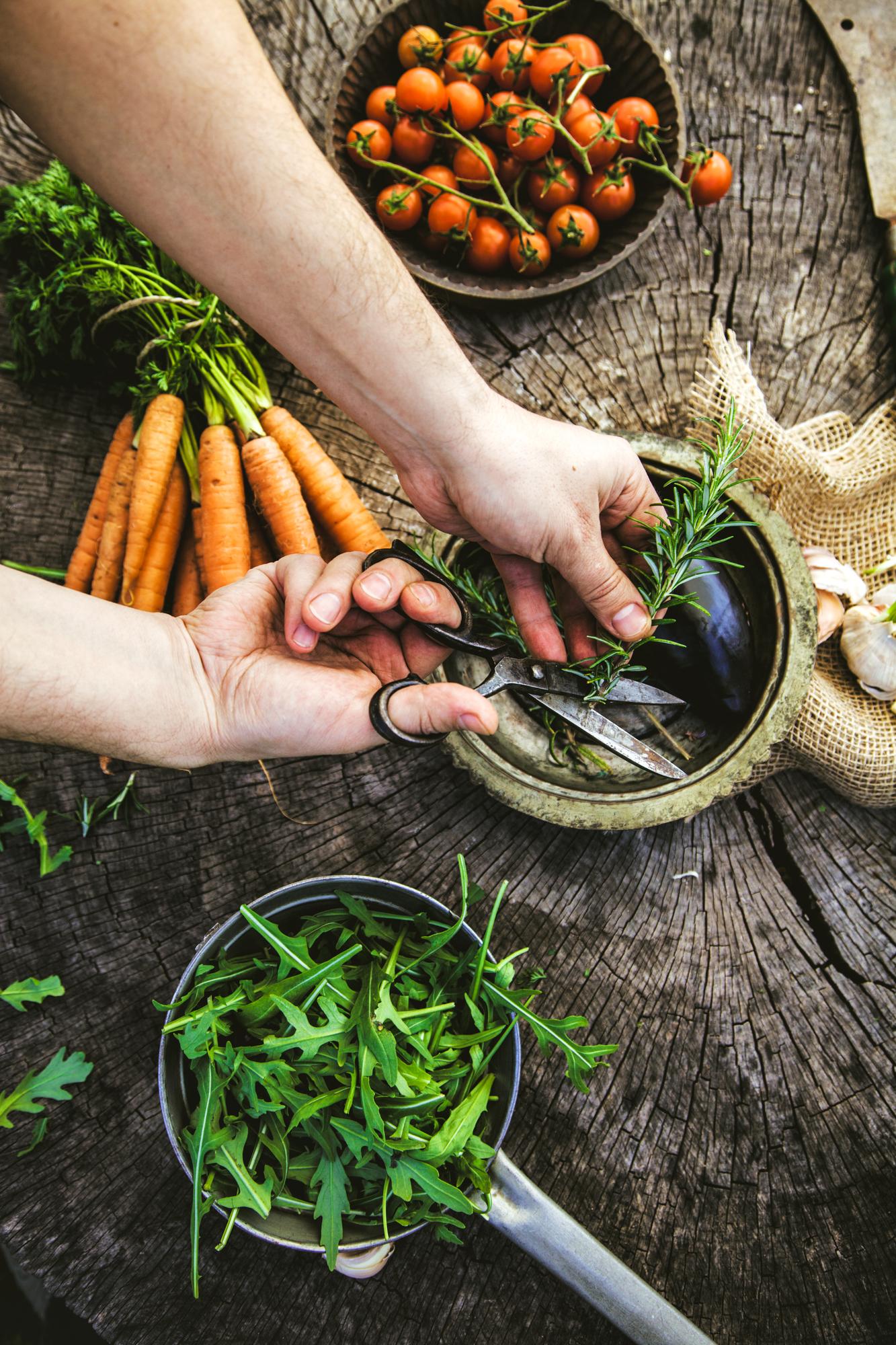 hands arranging seasonal vegetables on wooden table